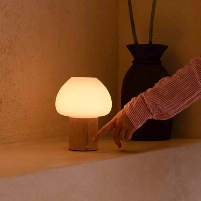 Lampă reîncărcabilă Fynn din lemn, maro deschis - imagine 12