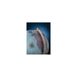 Zoffoli James Cook Acquamarina - imagine 5