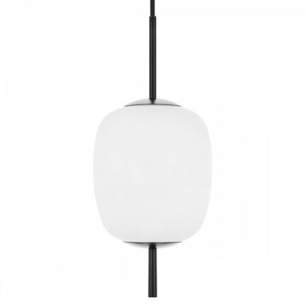 negru (Jet Black RAL 9005)