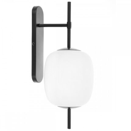 negru (Jet Black RAL 9005)