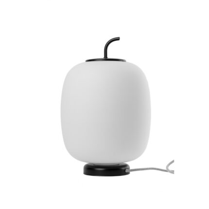 negru (Jet Black RAL 9005)