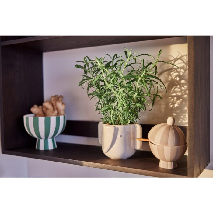 Recipient Bonboniera Toppu - Pentru Condimente și Decorațiuni - imagine 3